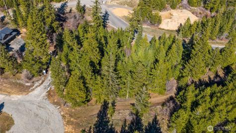78 Forest Ridge (Lot 78) Drive Cle Elum WA 98922