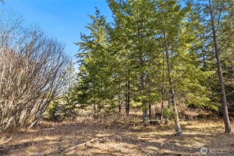 78 Forest Ridge (Lot 78) Drive Cle Elum WA 98922