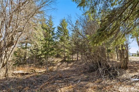 78 Forest Ridge (Lot 78) Drive Cle Elum WA 98922