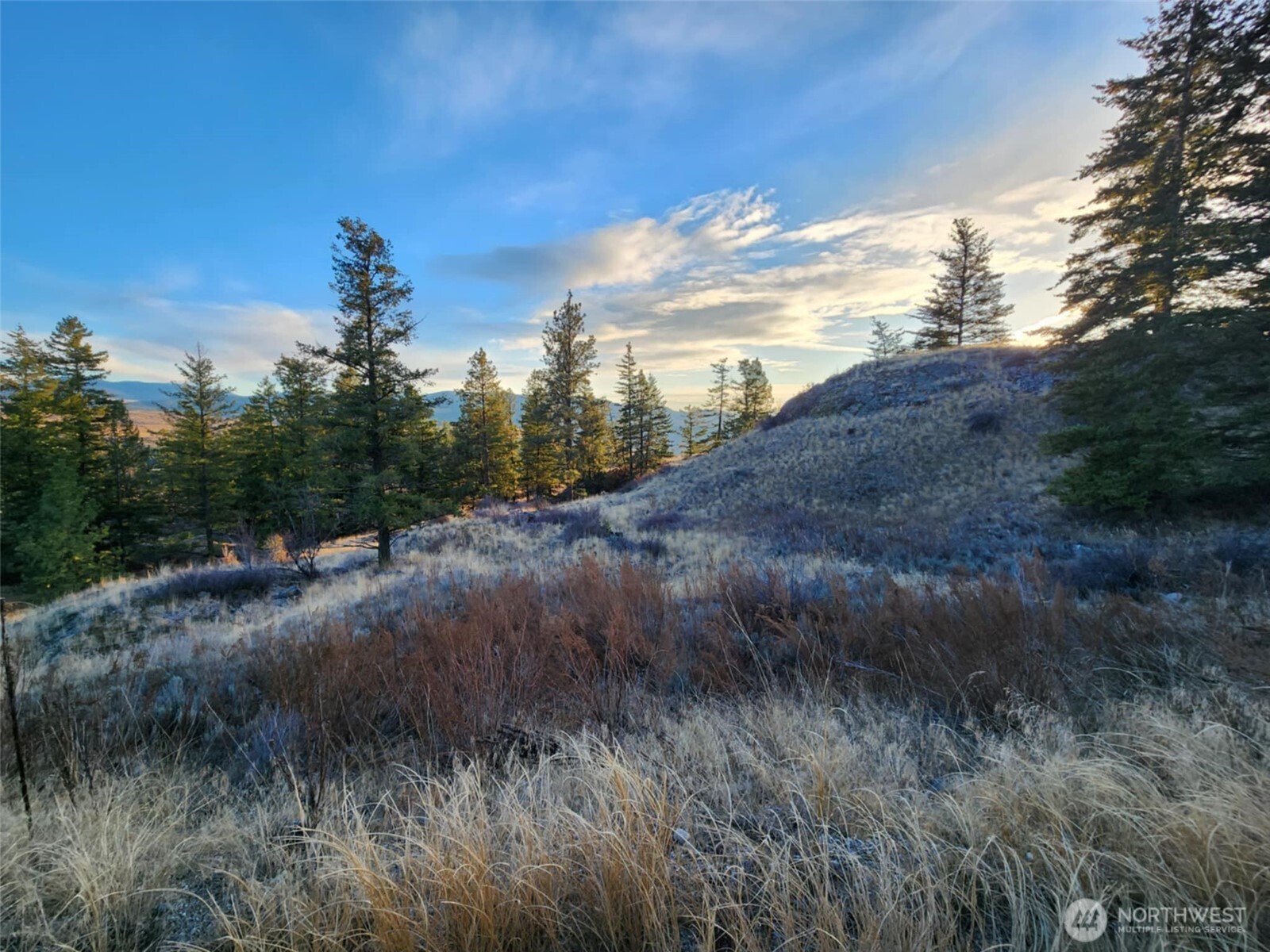 0 Blue Grouse (Div 5, Lot 42) Oroville WA 98844