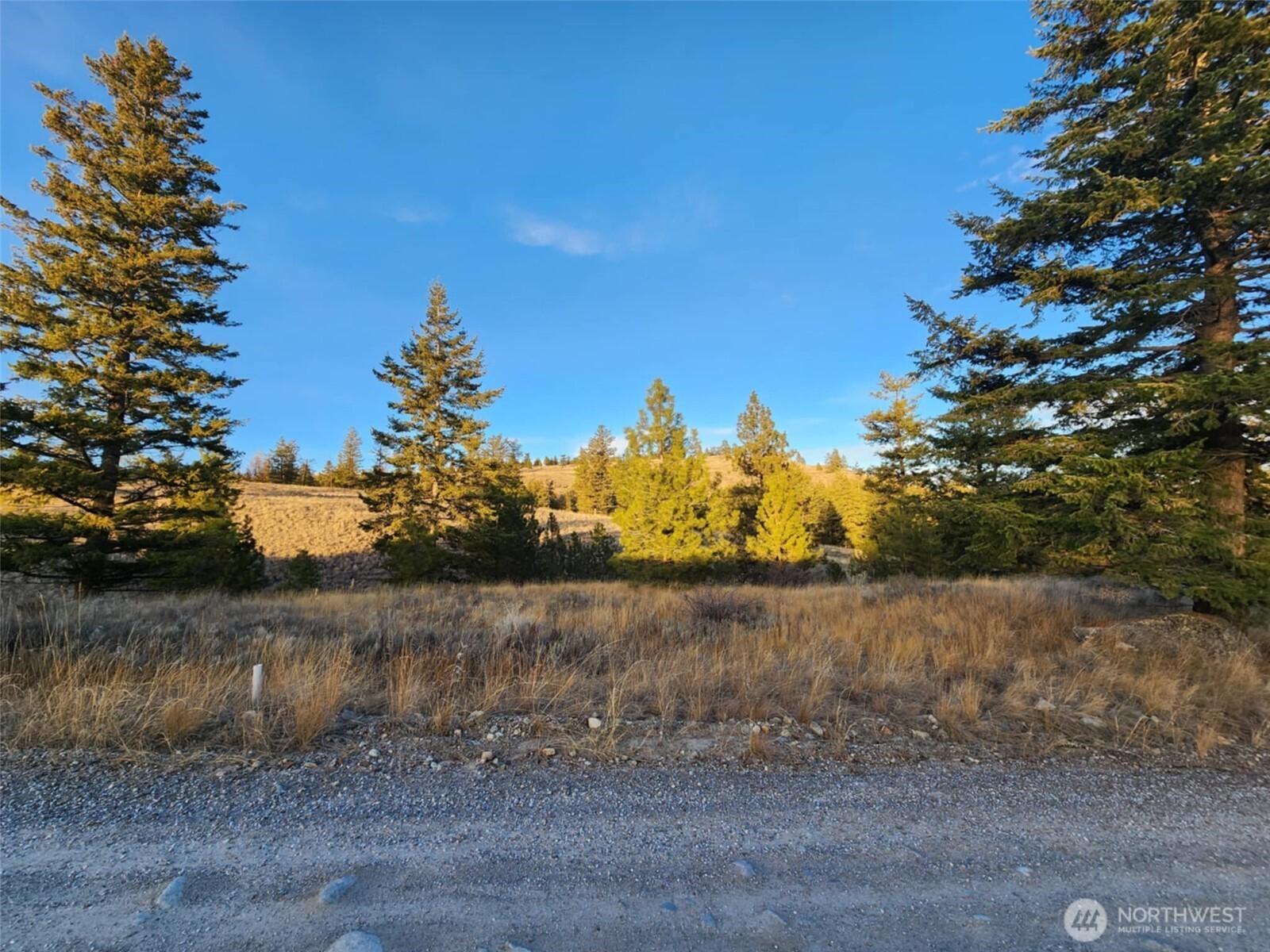 0 Blue Grouse (Div 5, Lot 42) Oroville WA 98844