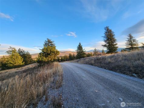0 Blue Grouse (Div 5, Lot 42) Oroville WA 98844