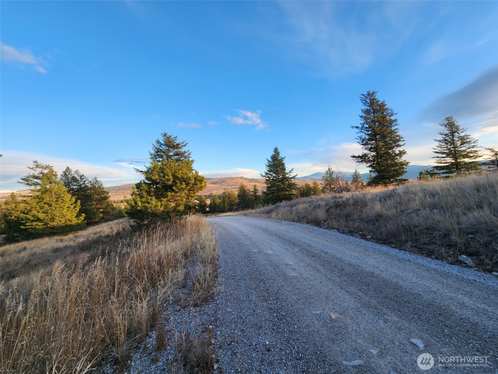 0 Blue Grouse (Div 5, Lot 42) Oroville WA 98844