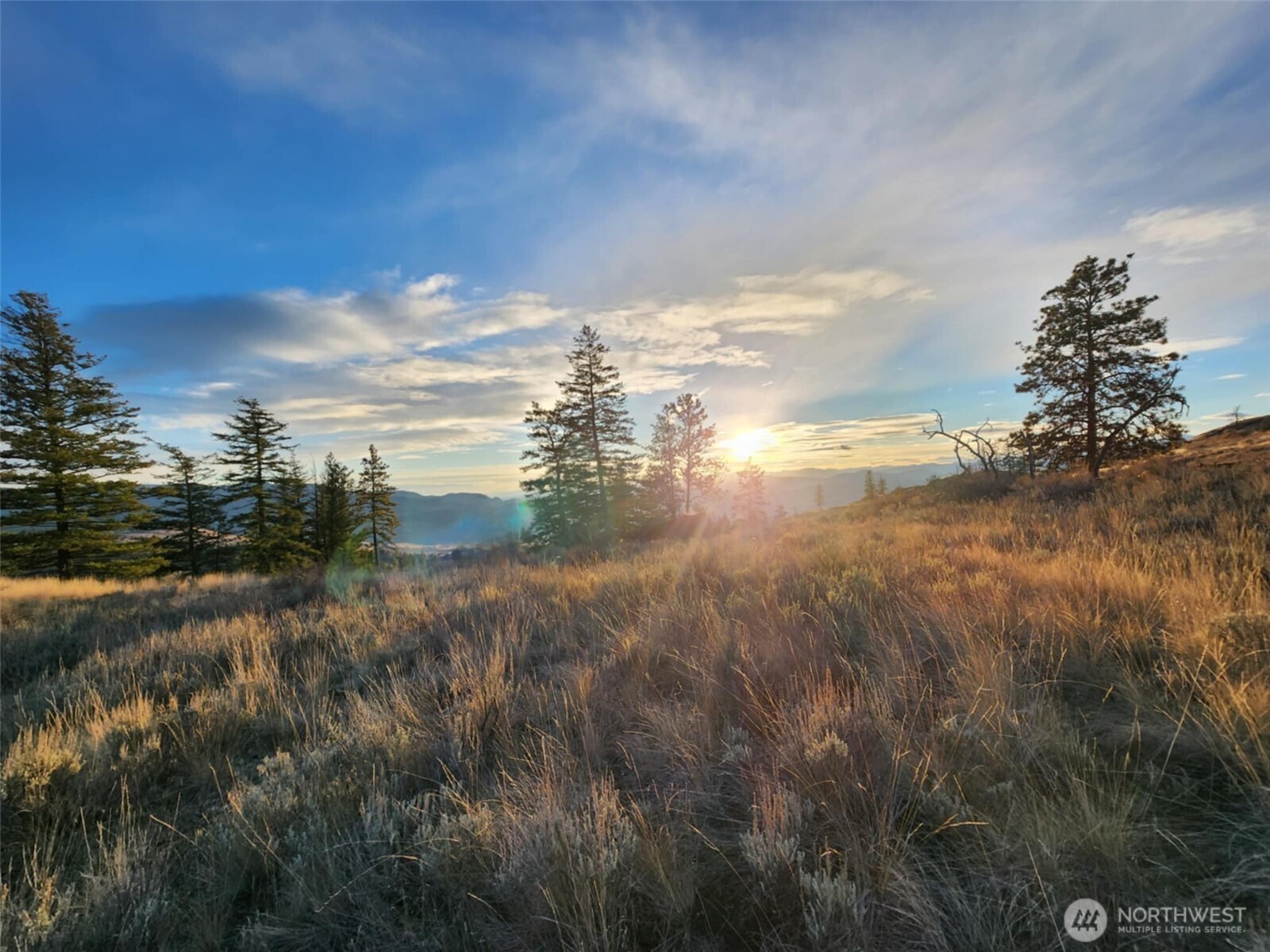 0 Blue Grouse (Div 5, Lot 42) Oroville WA 98844