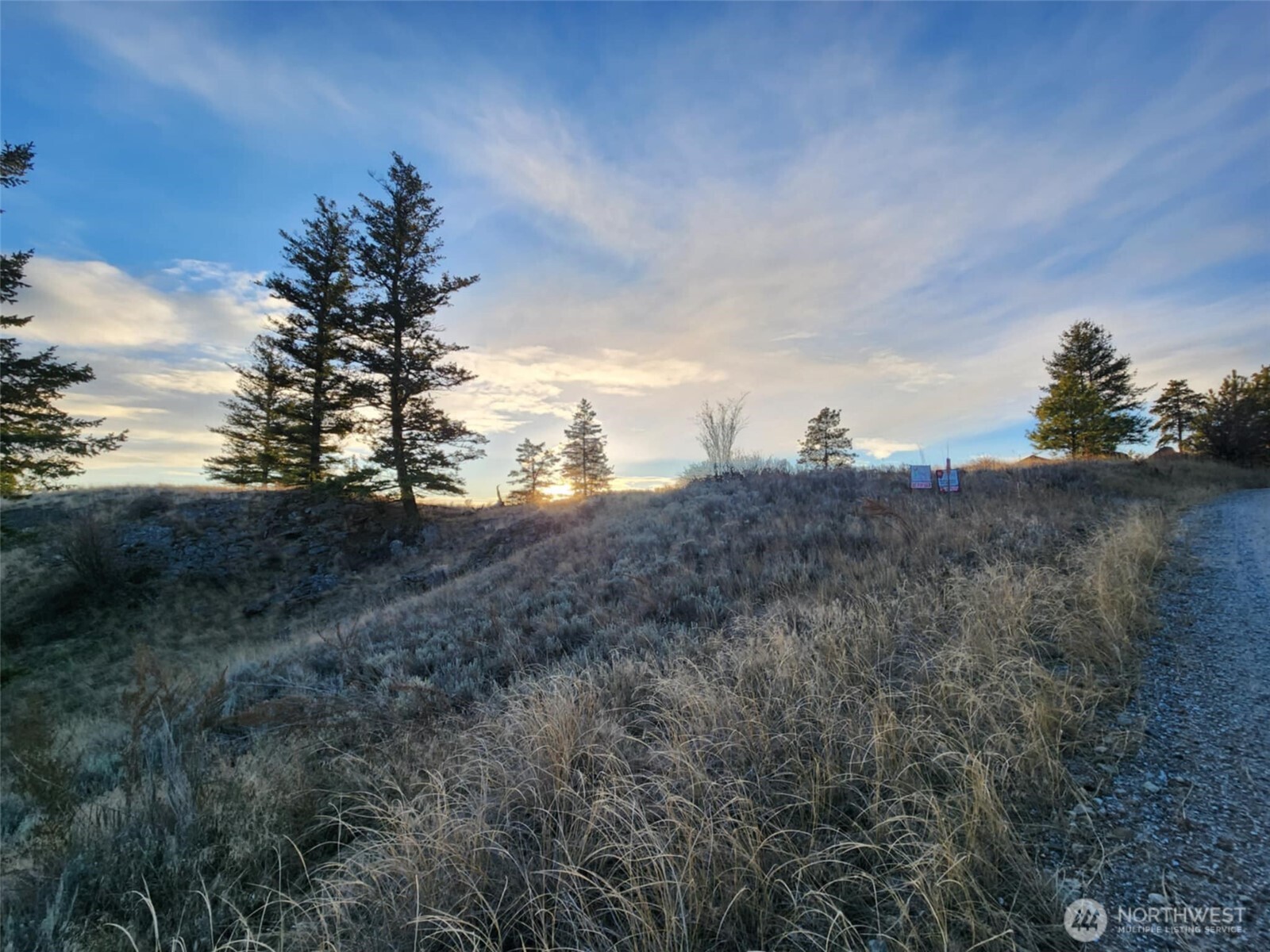 0 Blue Grouse (Div 5, Lot 42) Oroville WA 98844
