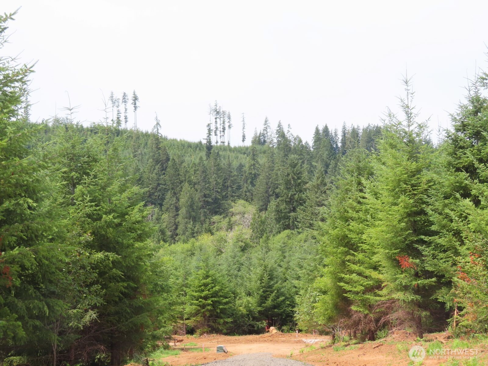 0 Mill Creek Lane Longview WA 98632