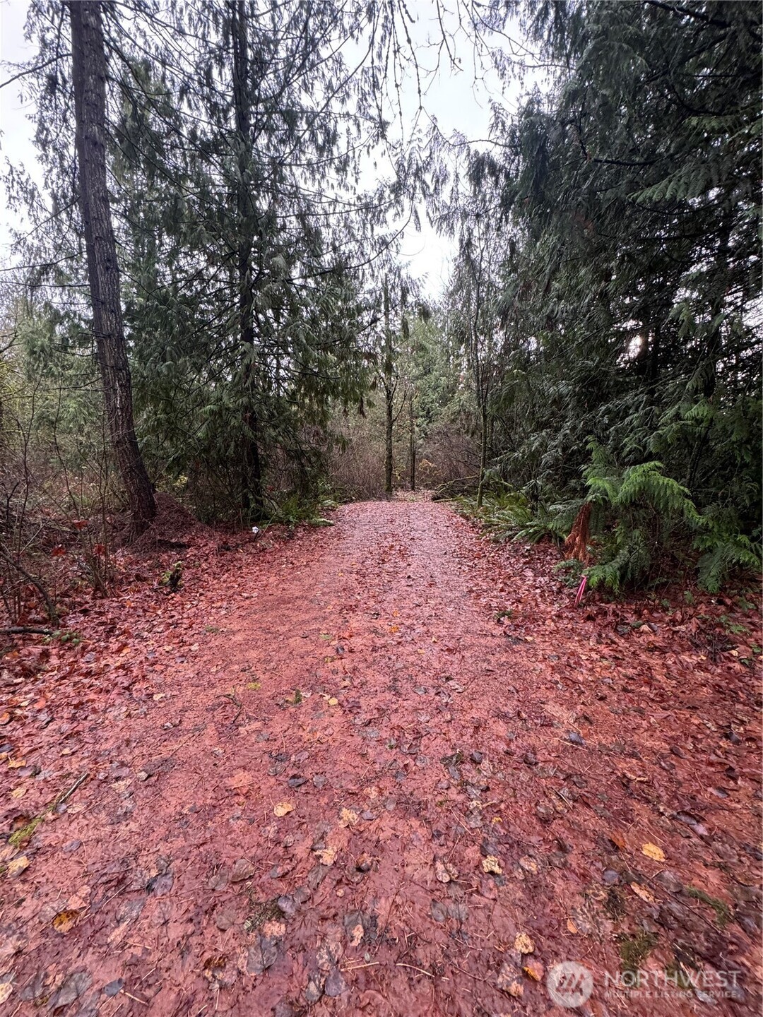 40980 228th Avenue SE Enumclaw WA 98022