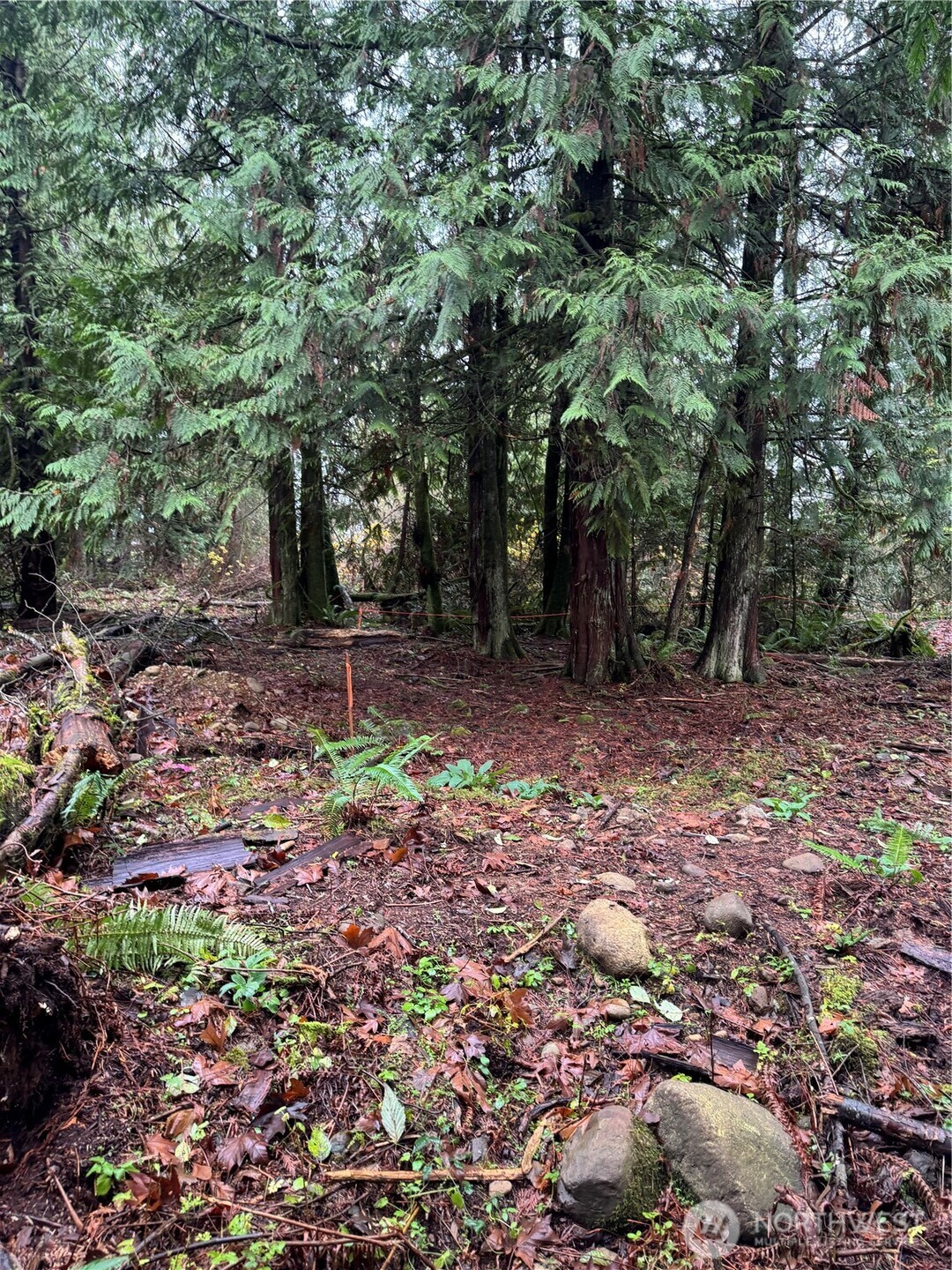 40980 228th Avenue SE Enumclaw WA 98022