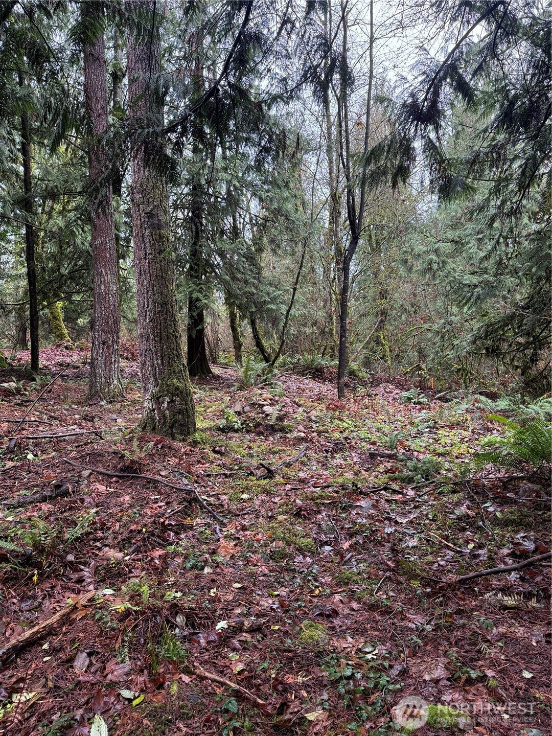 40980 228th Avenue SE Enumclaw WA 98022