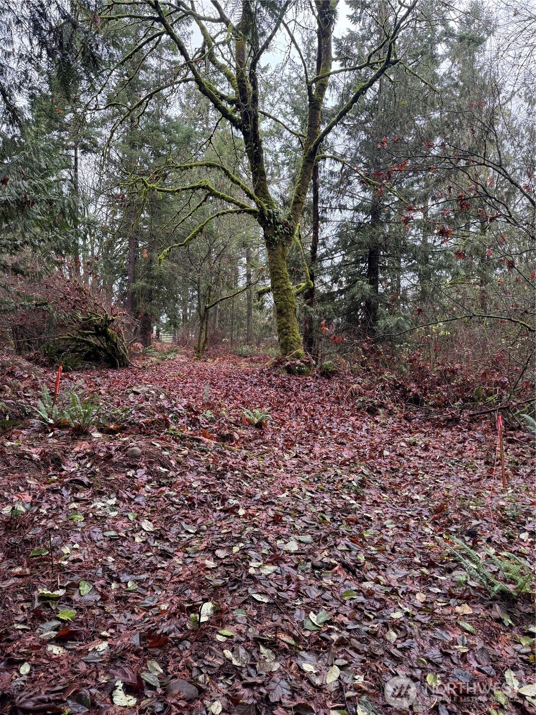 40980 228th Avenue SE Enumclaw WA 98022