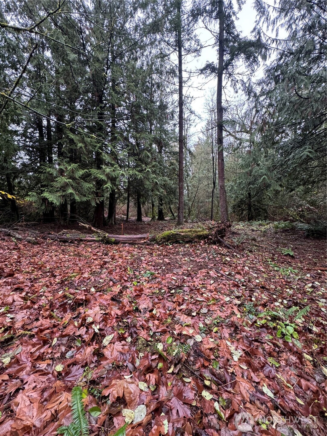 40980 228th Avenue SE Enumclaw WA 98022