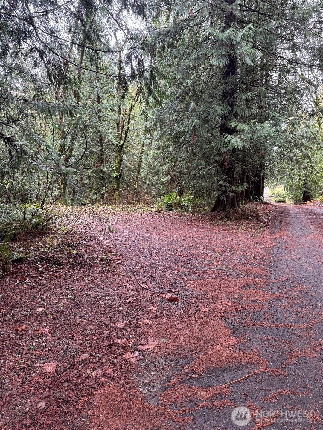 40980 228th Avenue SE Enumclaw WA 98022