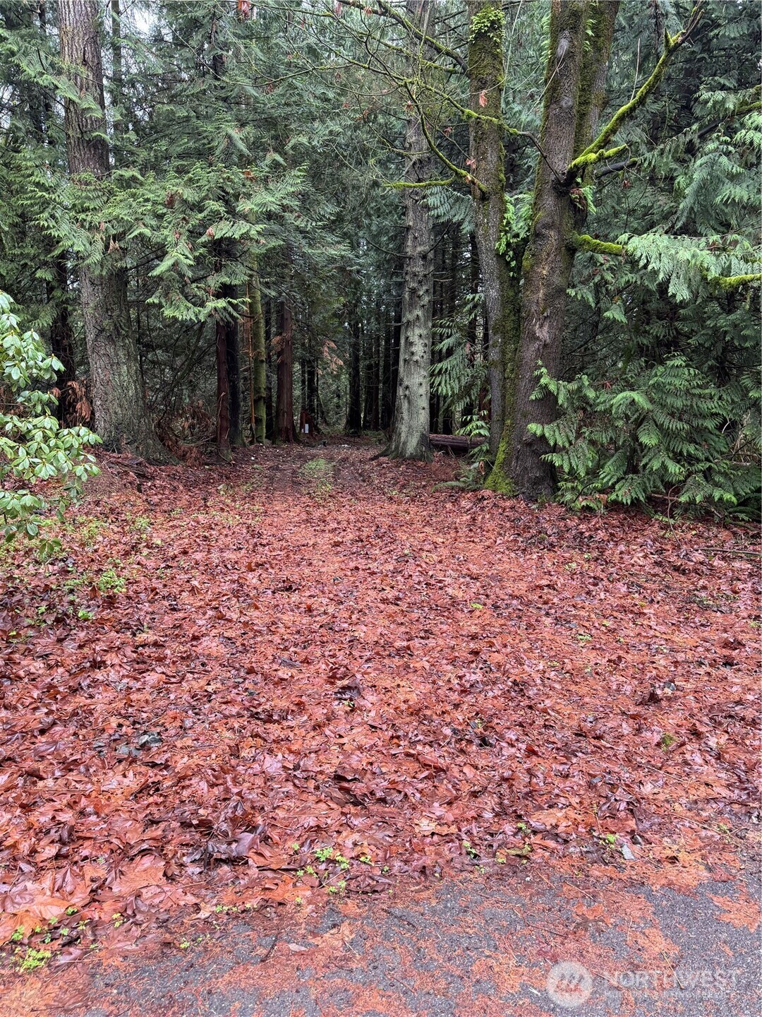 40980 228th Avenue SE Enumclaw WA 98022