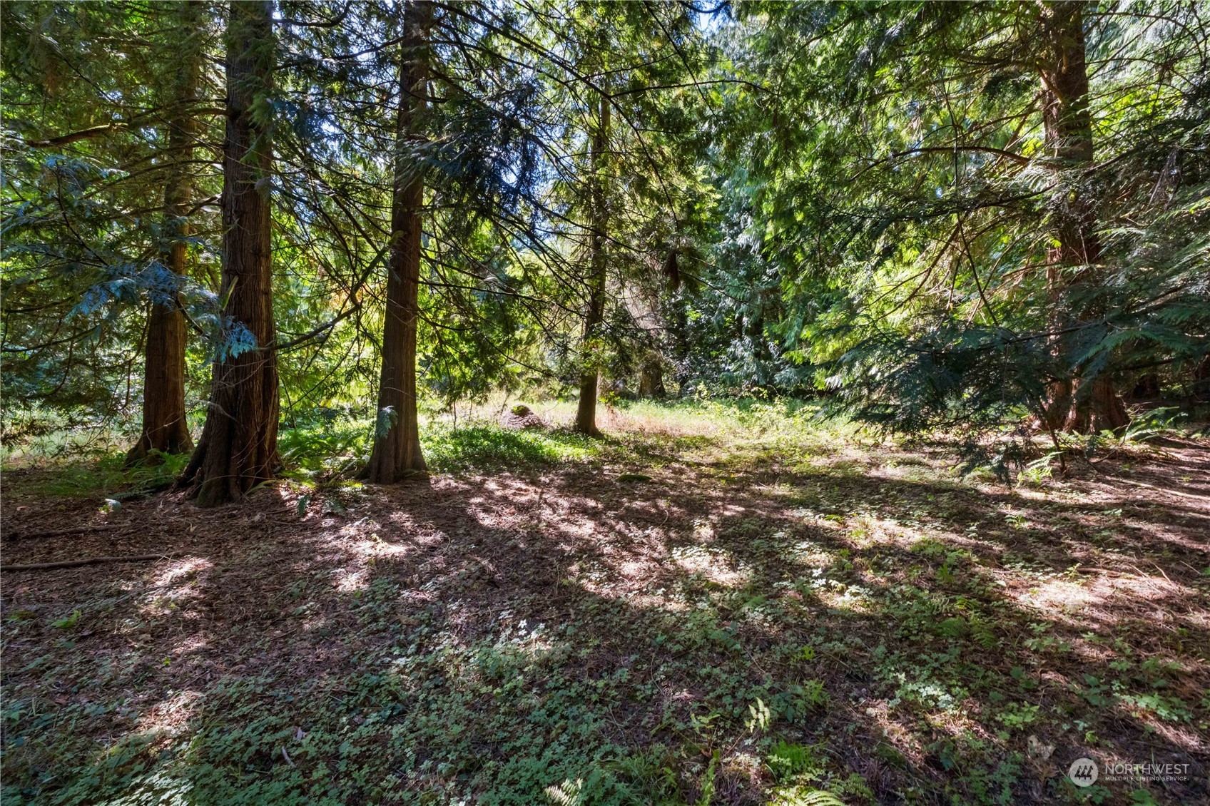 40980 228th Avenue SE Enumclaw WA 98022
