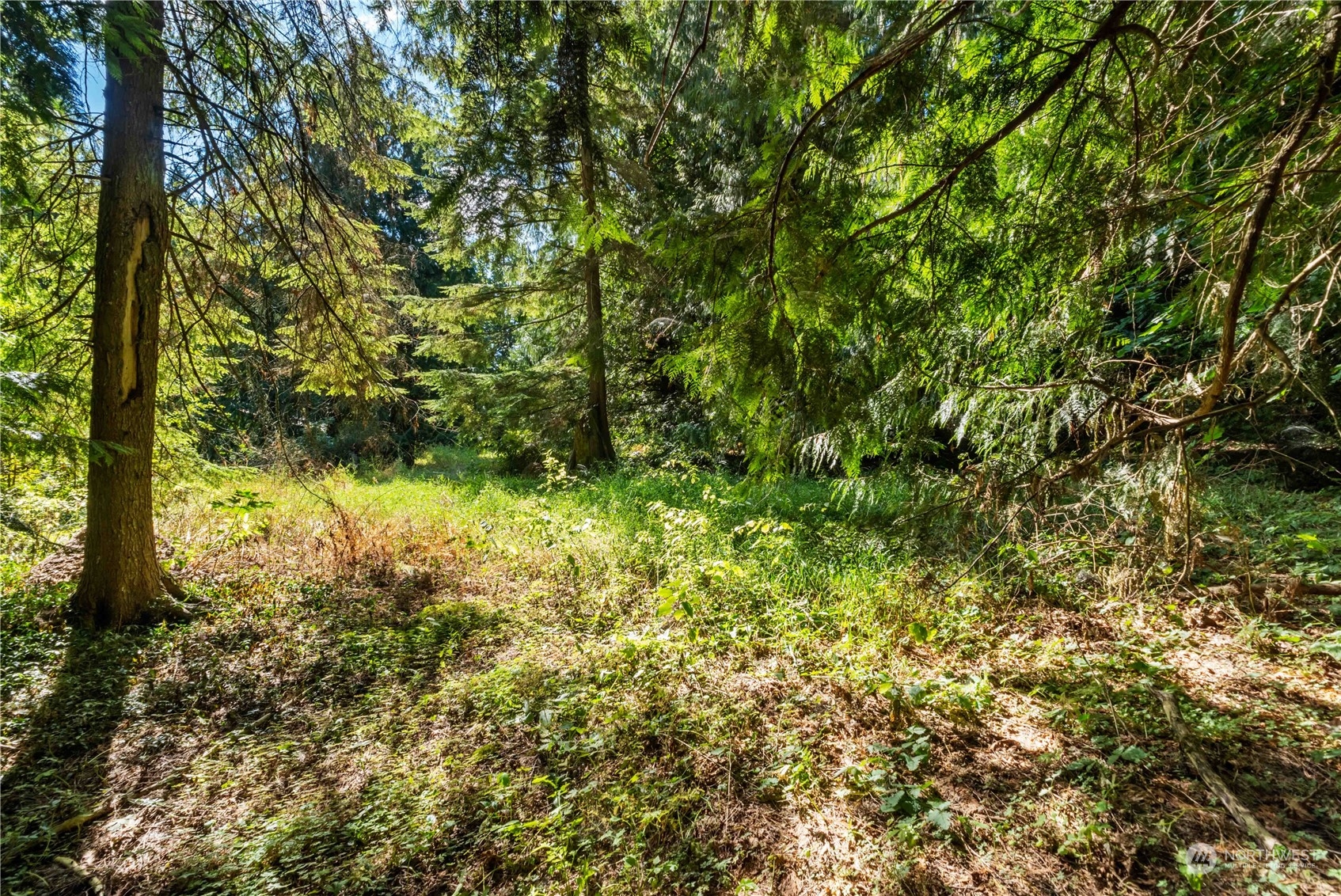 40980 228th Avenue SE Enumclaw WA 98022