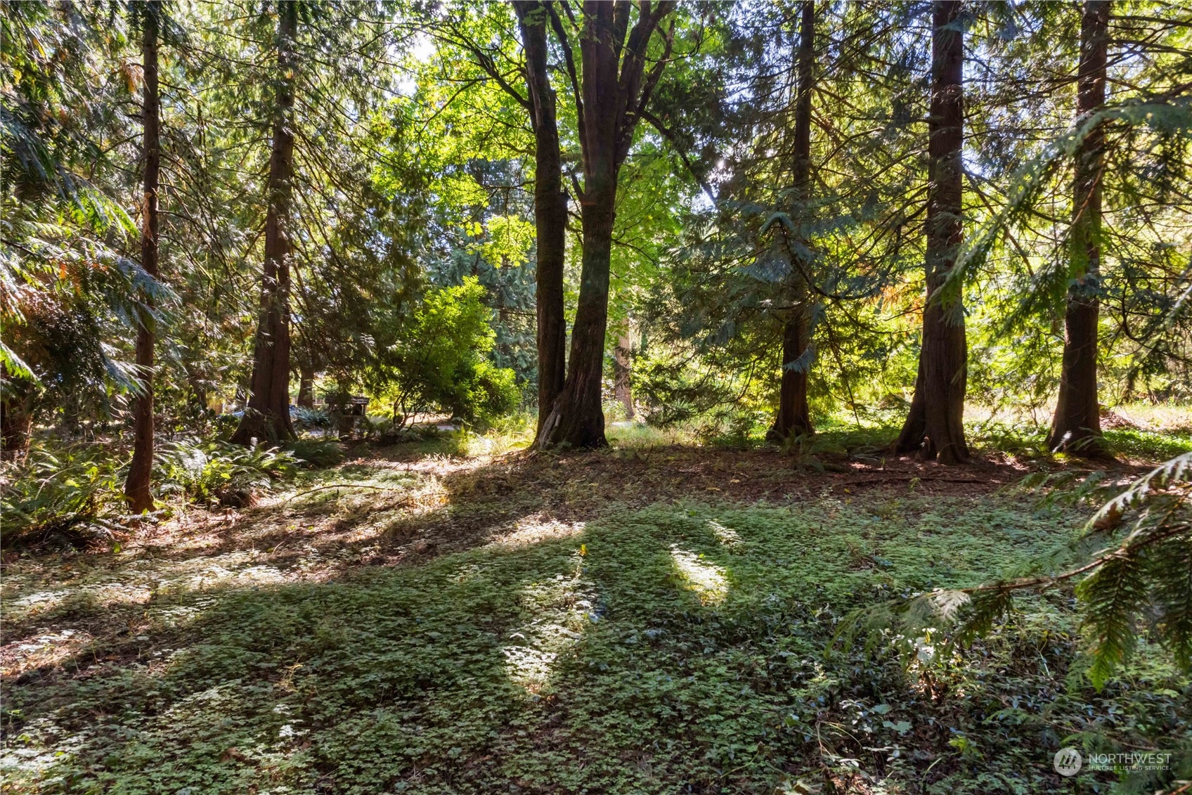40980 228th Avenue SE Enumclaw WA 98022