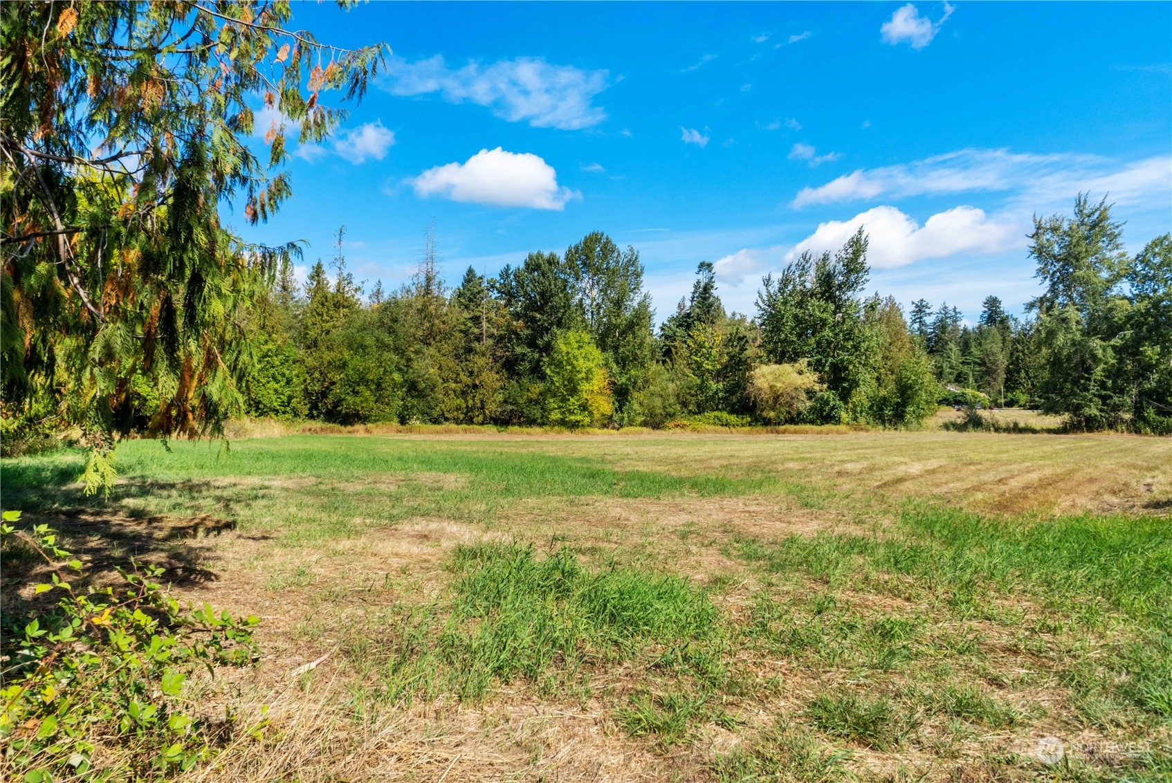 40980 228th Avenue SE Enumclaw WA 98022