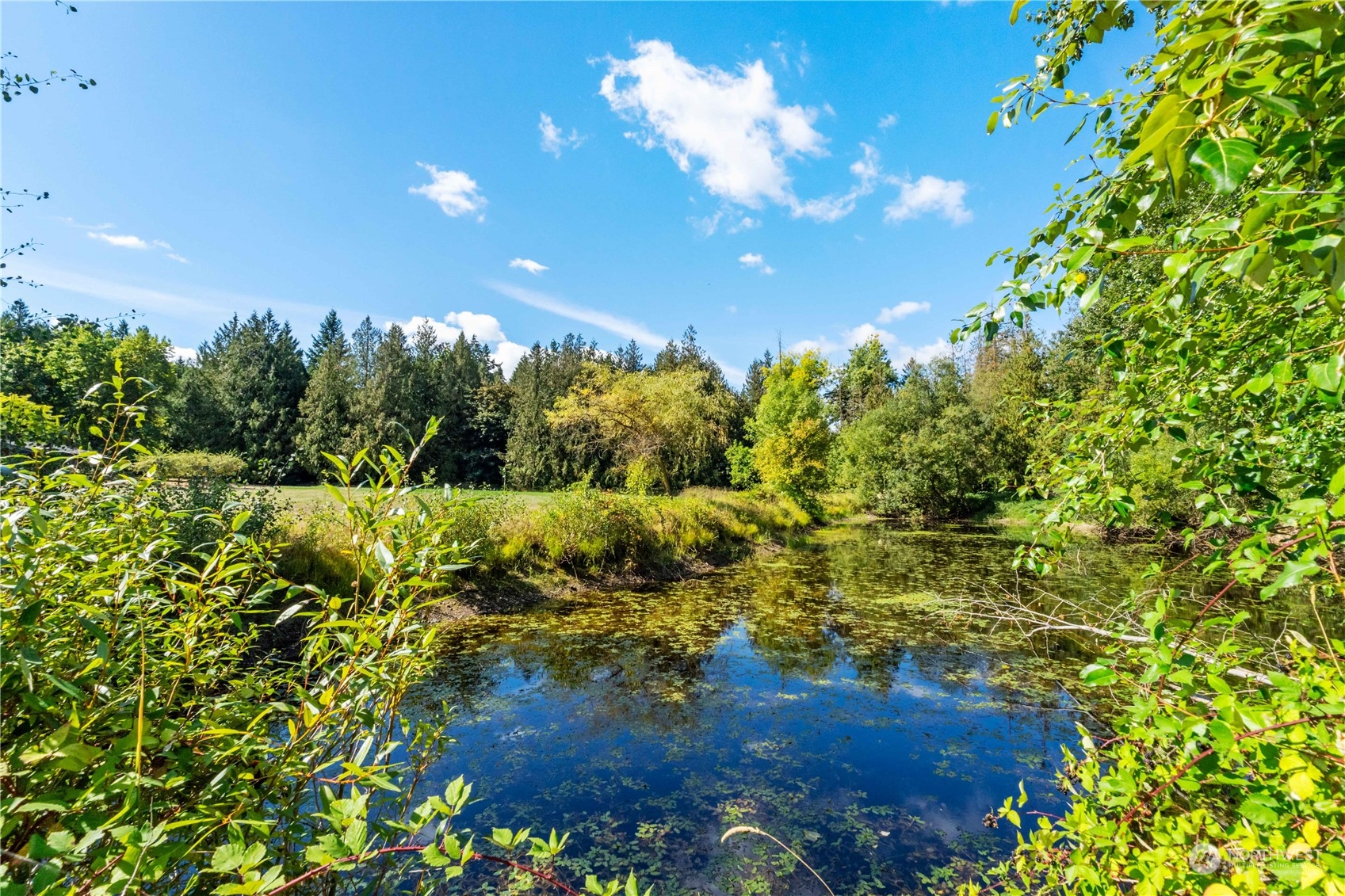 40980 228th Avenue SE Enumclaw WA 98022