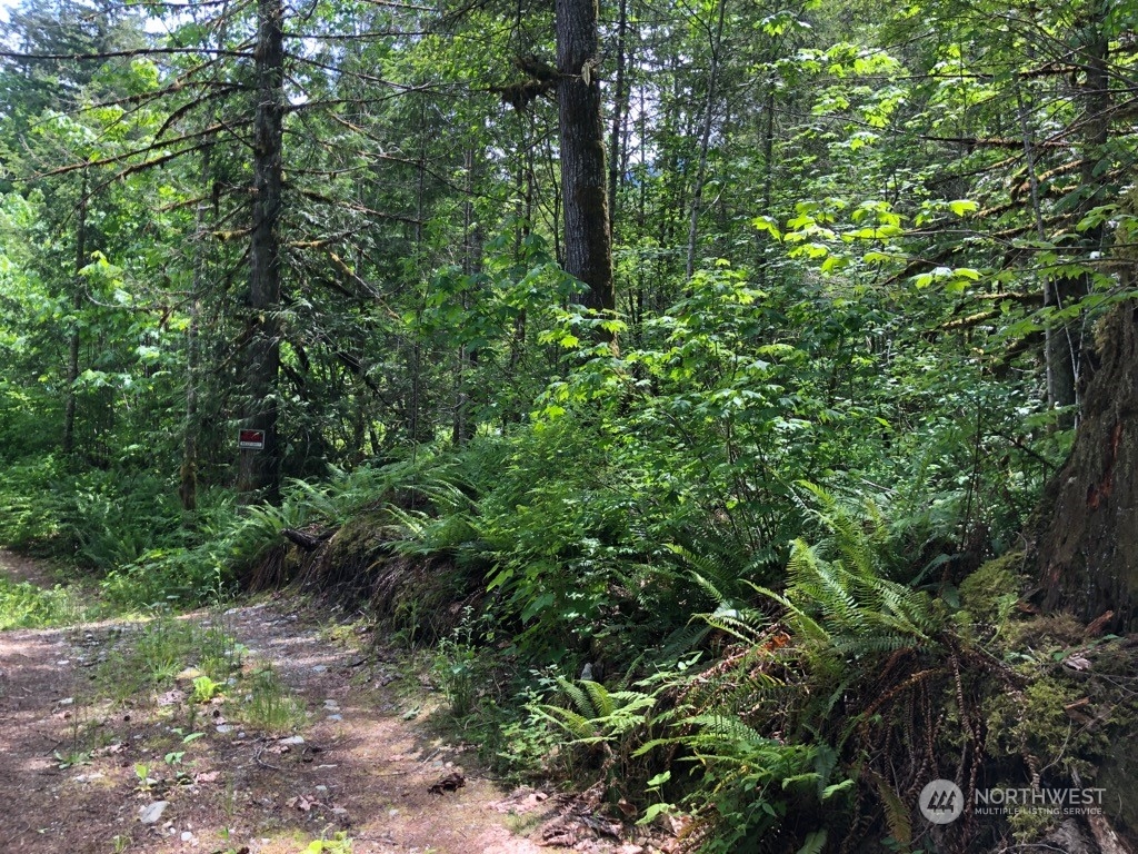 0 Miller River Road Skykomish WA 98288