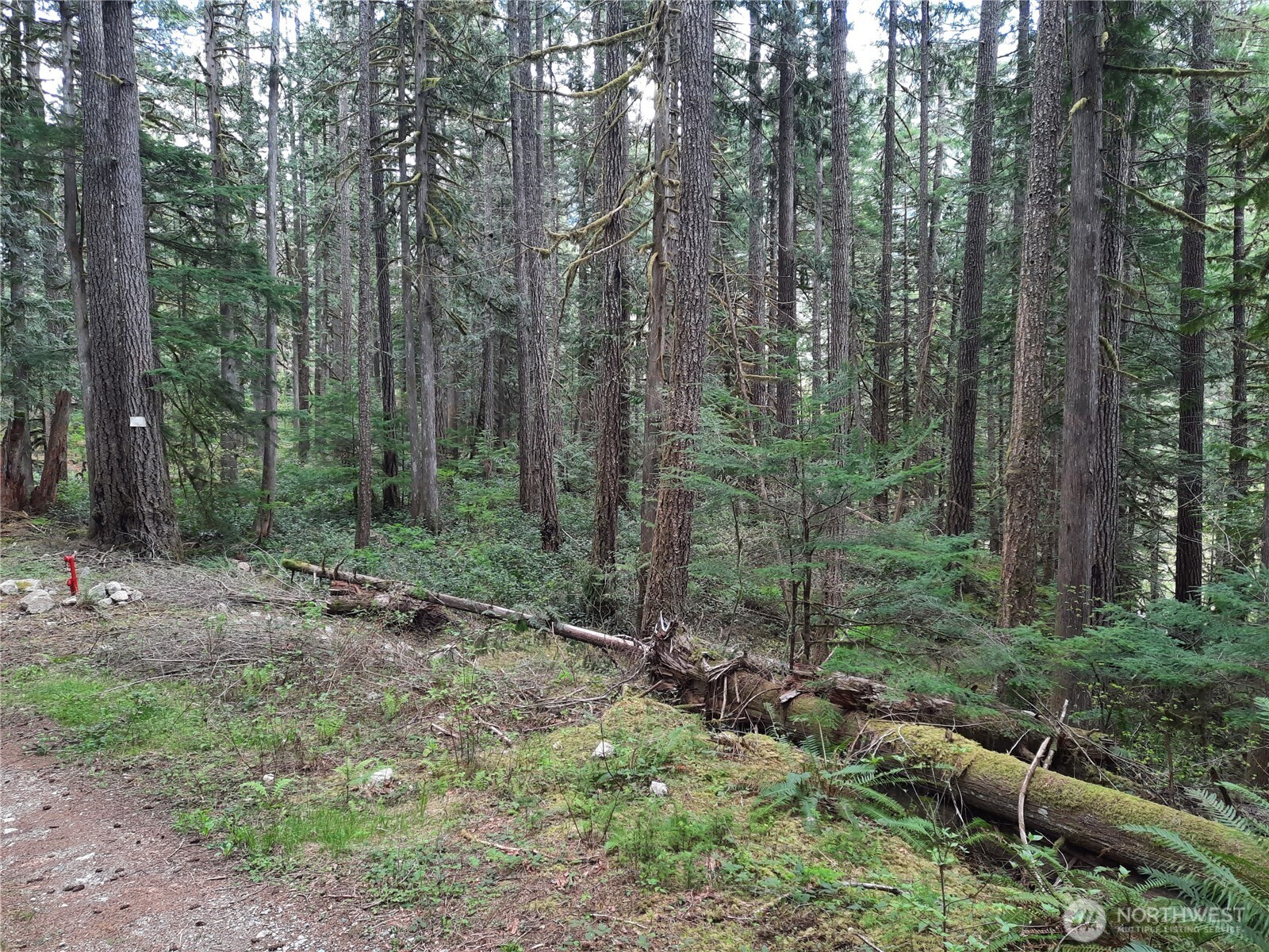 0 Cascade River Road Concrete WA 98267