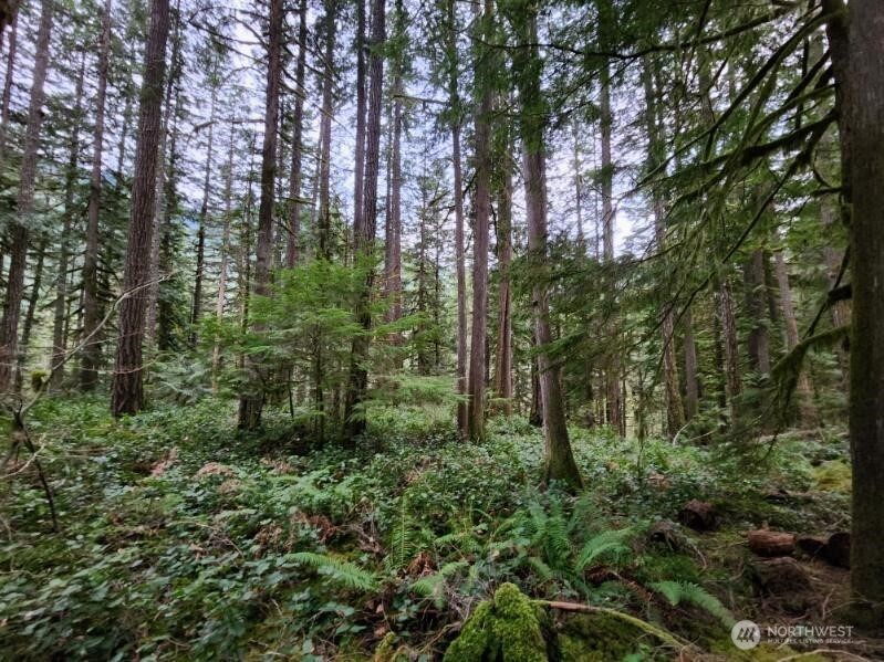 0 Cascade River Road Concrete WA 98267