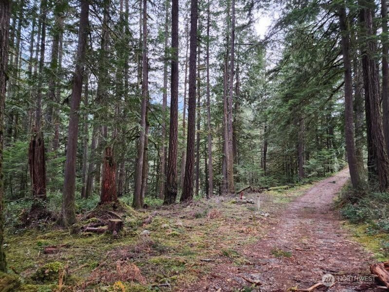 0 Cascade River Road Concrete WA 98267