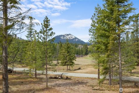 63 Liberty Bell Lane Cle Elum WA 98922