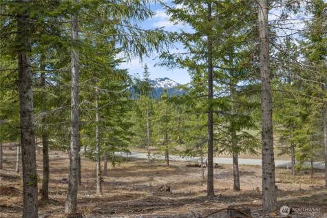 63 Liberty Bell Lane Cle Elum WA 98922