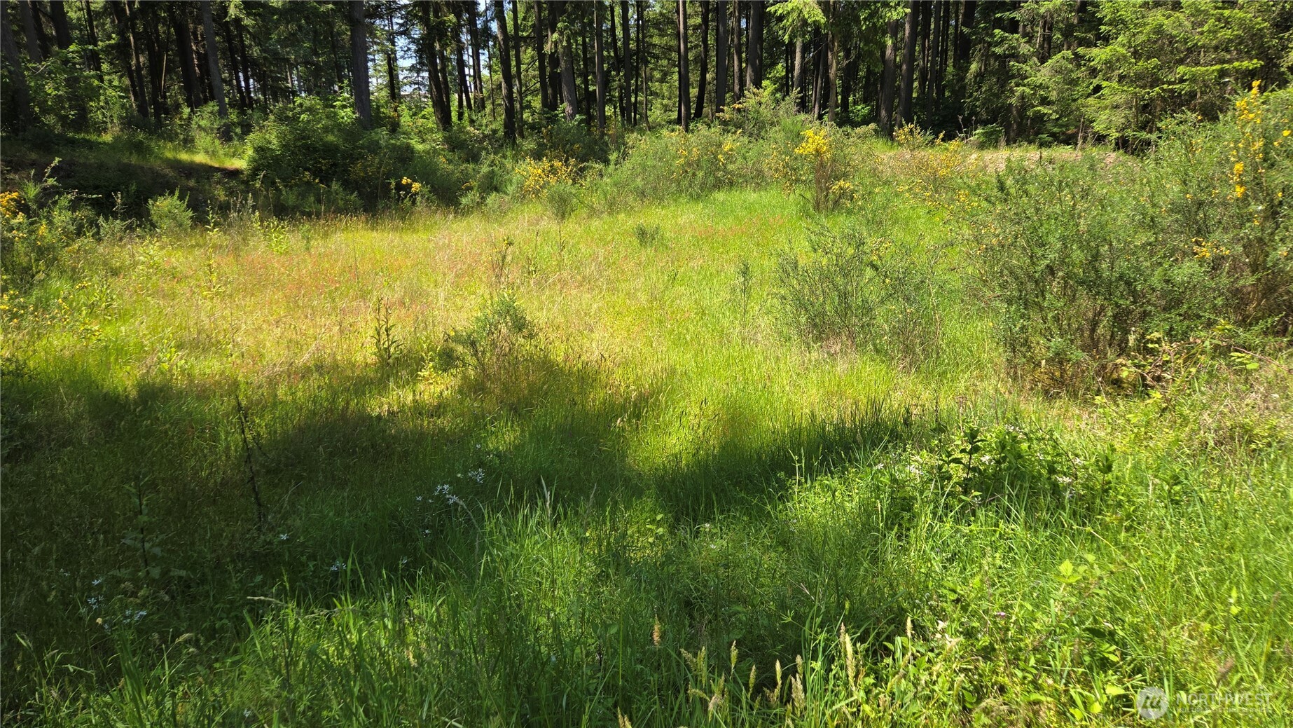 2525 Willa Street NE Olympia WA 98516
