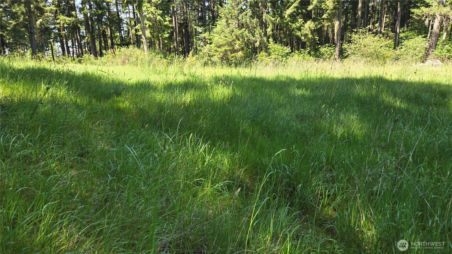 2525 Willa Street NE Olympia WA 98516