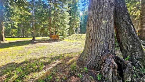 921 Jenkins Drive Cle Elum WA 98922