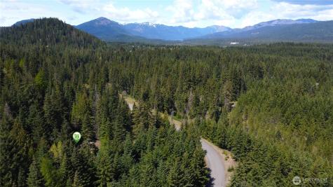 921 Jenkins Drive Cle Elum WA 98922