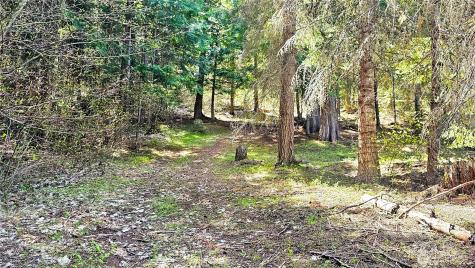 921 Jenkins Drive Cle Elum WA 98922