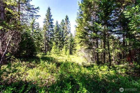 2443 Eagle Lambert Road Chewelah WA 99109