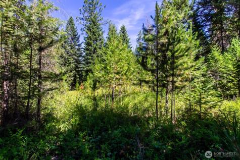 2443 Eagle Lambert Road Chewelah WA 99109