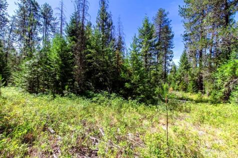 2443 Eagle Lambert Road Chewelah WA 99109