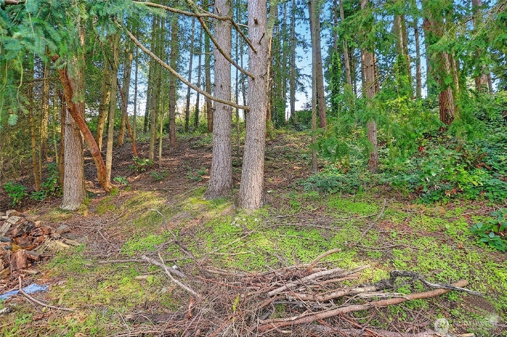 17810 Olympic View Drive Edmonds WA 98026