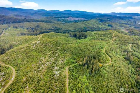 1 Parpala Road Naselle WA 98638