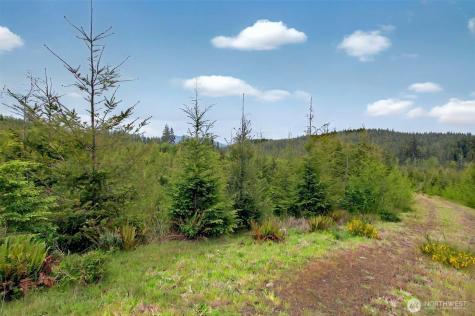 1 Parpala Road Naselle WA 98638