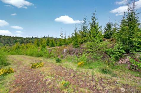 1 Parpala Road Naselle WA 98638