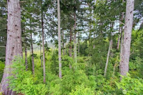 1 Parpala Road Naselle WA 98638