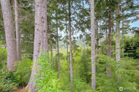 1 Parpala Road Naselle WA 98638