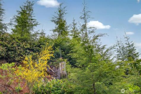 1 Parpala Road Naselle WA 98638