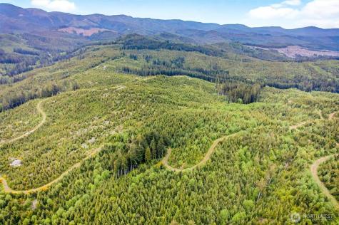 1 Parpala Road Naselle WA 98638