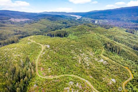 1 Parpala Road Naselle WA 98638