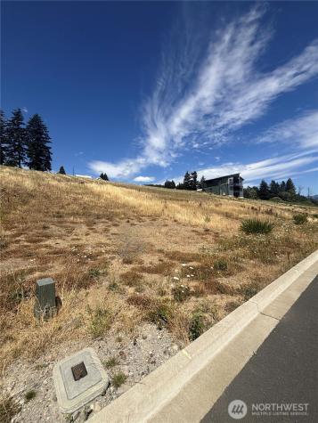 145 Upper Basso Circle Skamania WA 98648