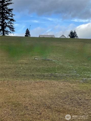 145 Upper Basso Circle Skamania WA 98648