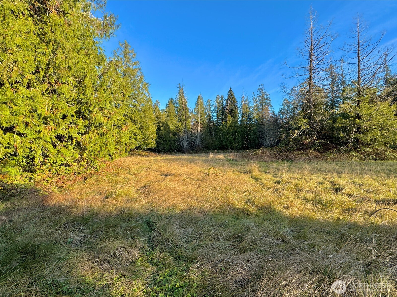 25 NE Roy Boad Road Belfair WA 98528