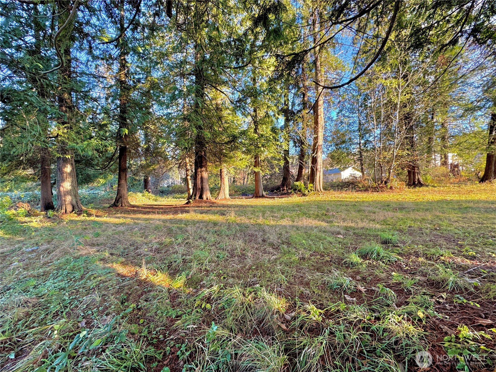 25 NE Roy Boad Road Belfair WA 98528