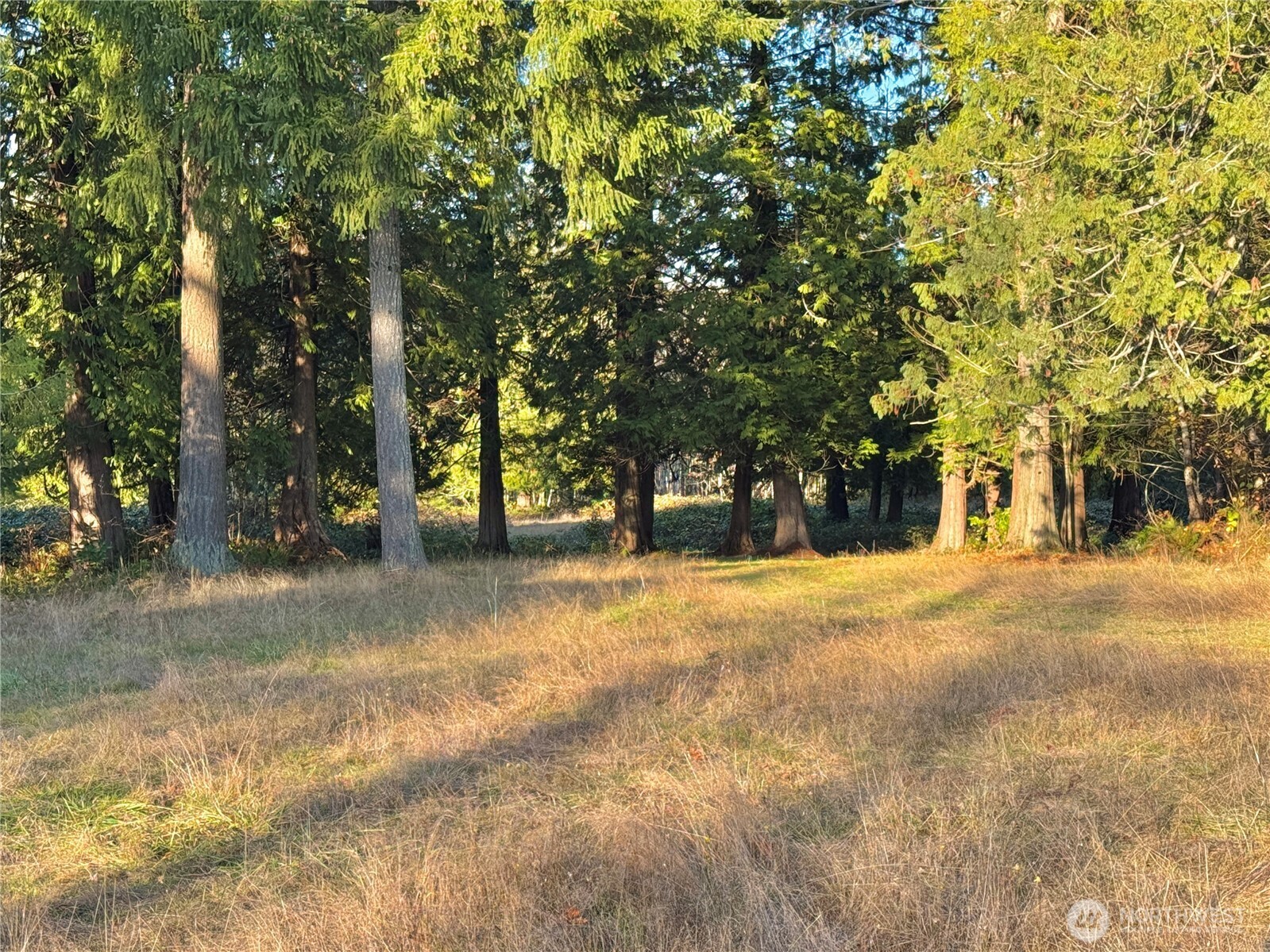 25 NE Roy Boad Road Belfair WA 98528